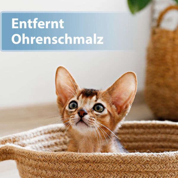 Felisept Katzenohrpflege-Pads